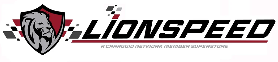 LionSpeed logo